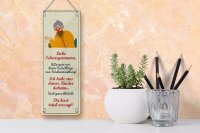 Blechschild Spruch 27x10 cm liebe Schwiegermama spar mir deine Ratschläge Schild