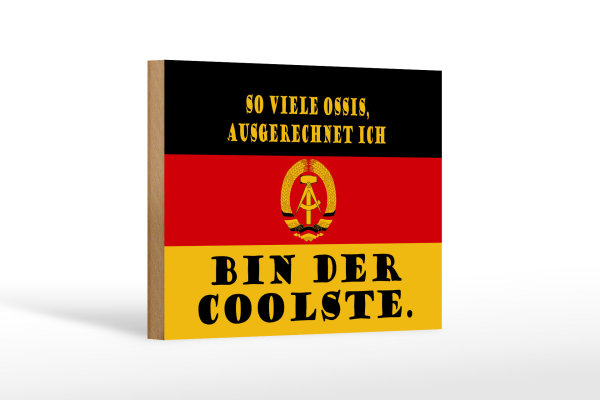 Holzschild Spruch 18x12cm so viele Ossis bin der coolste