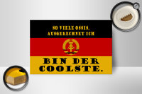 Holzschild Spruch 18x12cm so viele Ossis bin der coolste