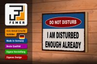 Holzschild Spruch 18x12cm do not disturb I am disturbed