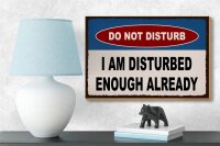 Holzschild Spruch 18x12cm do not disturb I am disturbed