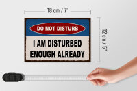 Holzschild Spruch 18x12cm do not disturb I am disturbed