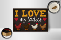 Holzschild Spruch 18x12cm Hühner i love my ladies