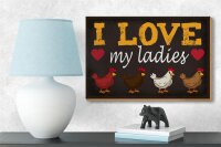 Holzschild Spruch 18x12cm Hühner i love my ladies