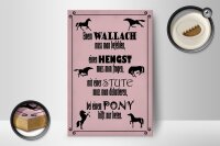 Holzschild Spruch 12x18cm Pferde Wallach Hengst Pony Stute