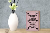 Holzschild Spruch 12x18cm Pferde Wallach Hengst Pony Stute