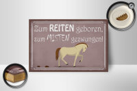 Holzschild Spruch 18x12cm zum Reiten geboren Pferd