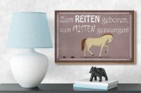Holzschild Spruch 18x12cm zum Reiten geboren Pferd