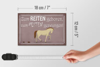 Holzschild Spruch 18x12cm zum Reiten geboren Pferd