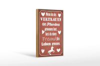 Holzschild Spruch 12x18cm Vertrauen eines Pferdes Freund