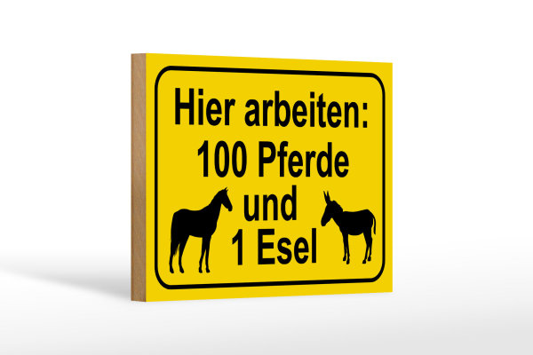 Holzschild Hinweis 18x12cm arbeiten 100 Pferde und 1 Esel