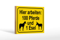 Holzschild Hinweis 18x12cm arbeiten 100 Pferde und 1 Esel