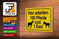 Holzschild Hinweis 18x12cm arbeiten 100 Pferde und 1 Esel