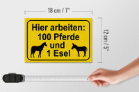 Holzschild Hinweis 18x12cm arbeiten 100 Pferde und 1 Esel