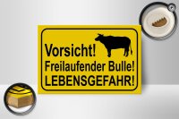 Holzschild Hinweis 18x12cm Vorsicht freilaufender Bulle