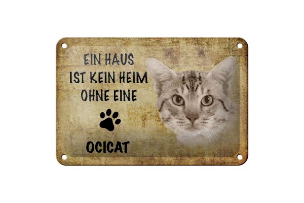 Blechschild Spruch 18x12cm Ocicat Katze ohne kein Heim