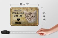 Blechschild Spruch 18x12cm Ocicat Katze ohne kein Heim