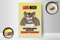 Holzschild Spruch 12x18cm Lass mich Muss mich da reinsteigern