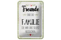 Blechschild Spruch 20x30 cm Freunde sind Familie die wir uns aussuchen Schild