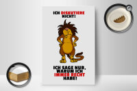 Holzschild Spruch 12x18cm Ich diskutiere nicht habe Recht