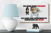 Holzschild Spruch 18x12cm keine Freunde Sammlung an Irren