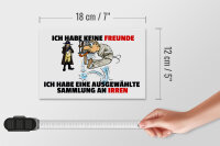 Holzschild Spruch 18x12cm keine Freunde Sammlung an Irren