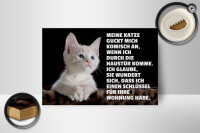 Holzschild Spruch 18x12cm Katze guckt mich komisch an