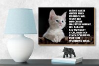Holzschild Spruch 18x12cm Katze guckt mich komisch an