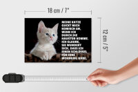 Holzschild Spruch 18x12cm Katze guckt mich komisch an