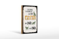 Holzschild Spruch 20x30 cm besser als eine Katze sind zwei oder drei Schild