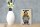 Holzschild Spruch 12x18cm My lovely Mr Singing Club