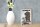 Holzschild Spruch 12x18cm You walk me animally on the cookie