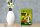 Holzschild Spruch 12x18cm I know how the rabbit runs Hase