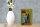 Holzschild Spruch 12x18cm Not from bad parents
