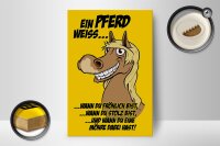 Holzschild Spruch 12x18 cm Ein Pferd weiß wann fröhlich