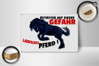 Holzschild Hinweis 18x12 cm launisches Pferd Gefahr