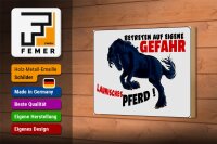 Holzschild Hinweis 18x12 cm launisches Pferd Gefahr