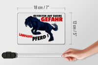 Holzschild Hinweis 18x12 cm launisches Pferd Gefahr