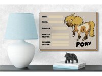 Holzschild Pony 18x12 cm Tiere Name Rasse Besitzer geboren