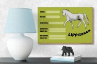 Holzschild Pferd 18x12 cm Lippizaner Angaben Name Besitzer