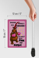 Holzschild Einhorn 12x18 cm ärgere niemals haut pink rosa