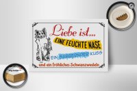 Holzschild Spruch 18x12cm Liebe ist eine feuchte Nase Kuss