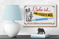 Holzschild Spruch 18x12cm Liebe ist eine feuchte Nase Kuss