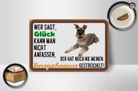 Holzschild Spruch 18x12cm Glück Zwergschnauzer Hund