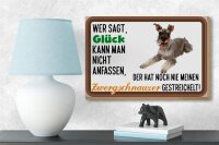 Holzschild Spruch 18x12cm Glück Zwergschnauzer Hund