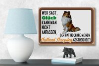 Holzschild Spruch 18x12cm Glück Shetland Sheepdog Hund