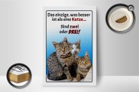 Holzschild Spruch 12x18cm einzige was besser ist als Katze