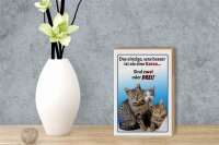 Holzschild Spruch 12x18cm einzige was besser ist als Katze