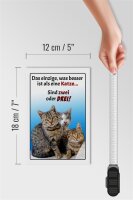 Holzschild Spruch 12x18cm einzige was besser ist als Katze