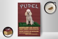 Holzschild Spruch 12x18cm Pudel hochintelligent lieb Hund